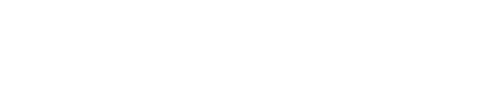 mfessLogo